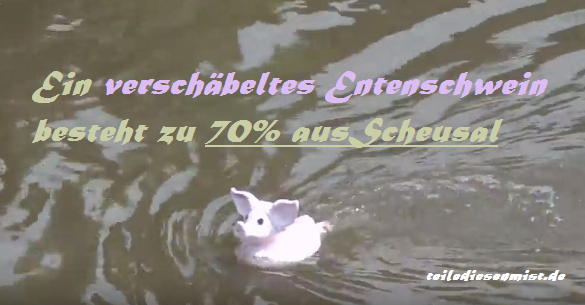 entenschwein